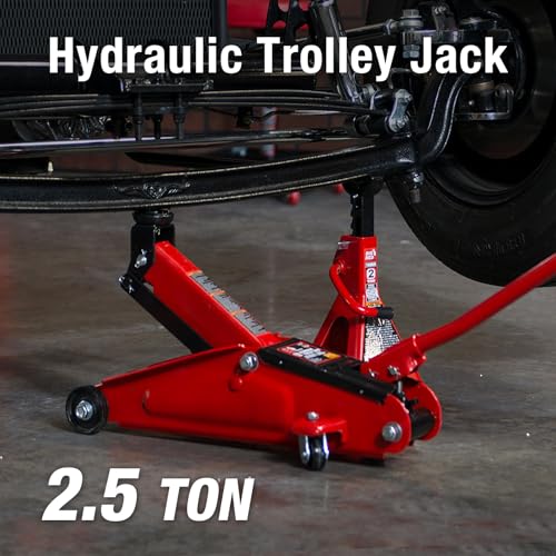 BIG RED Low Profile Hydraulic Trolley Floor Service/Floor Jack with Blow Mold Carrying Storage Case, 2.5 Ton (5,000 lb) Capacity, Lifting Range 5.6"-13", Red - size: 2.5t with case