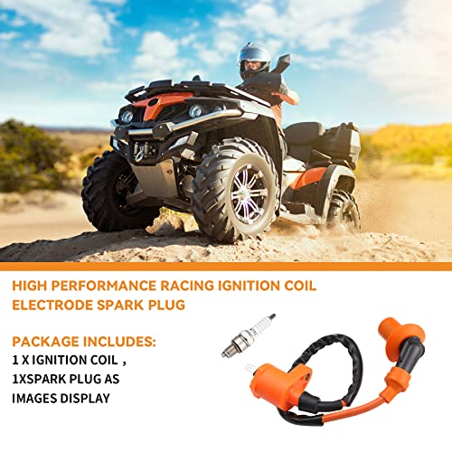 Stylemafia High Performance Racing Ignition Coil Electrode Spark Plug fit for GY6 50cc 150cc 125cc 150cc Chinese ATV Moped Scooter ATV Go Kart Parts