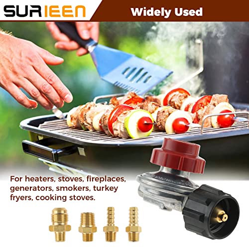 0-20 PSI Adjustable High Pressure Propane Regulator Valve Kit