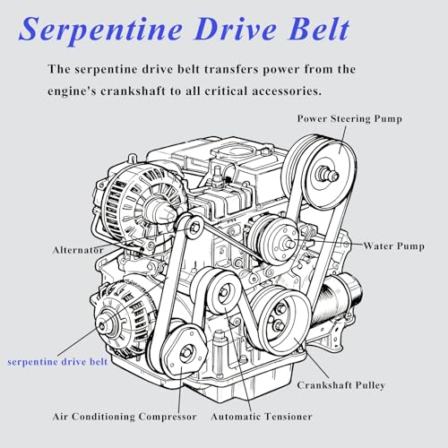 AUCERAMIC 31110R5AA01 Engine Serpentine Drive Belt