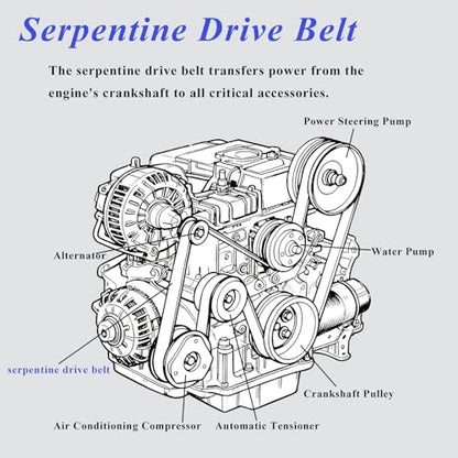 AUCERAMIC 31110R5AA01 Engine Serpentine Drive Belt