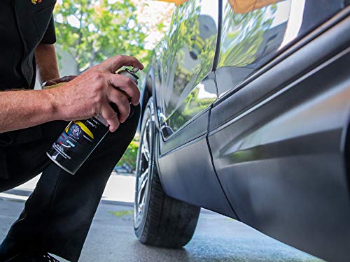 Meguiar's Ultimate Black Plastic Restorer, 10 Oz
