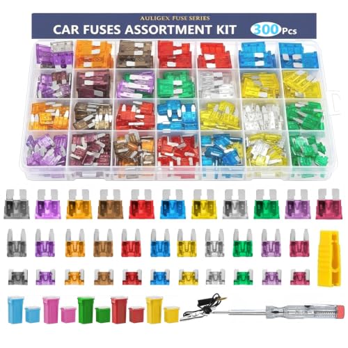 Automotive Fuses Assortment Kit with Tester, 300 Pcs RV Truck JCase
