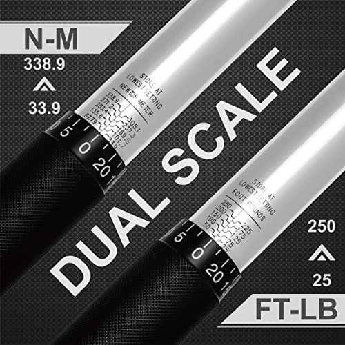 EPAuto 1/2-Inch Drive Click Torque Wrench,25-250 ft.-lb./33.9~338.9 Nm - size: 1/2 Inch Drive (25-250 ft.-lb.)