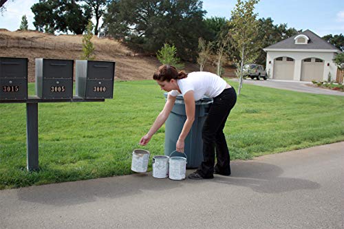 Rock Solid Paint Hardener 1 Liter Bag - 8 ounces for drying, hardening and solidification of paint for disposal