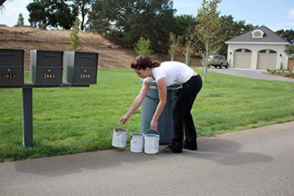 Rock Solid Paint Hardener 1 Liter Bag - 8 ounces for drying, hardening and solidification of paint for disposal