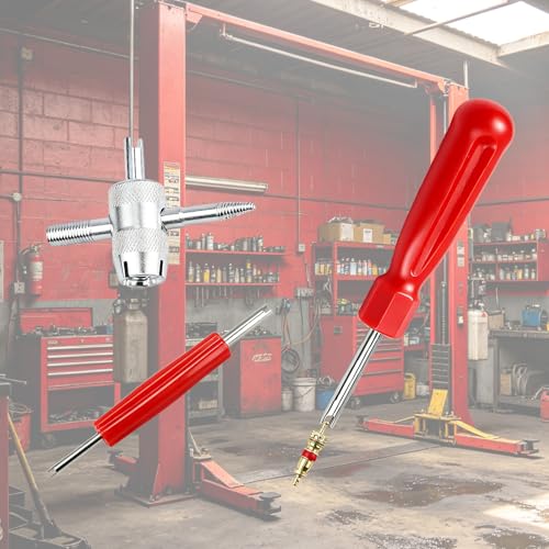 Valve Stem Removal Tool, 20 PCS Valve Cores, 20 PCS Tire Valves Caps, 1 PCS 4-Way Valves Tool, Valve Core Remover Tool with Storage Box Universal for Cars/Motocycle/Bike
