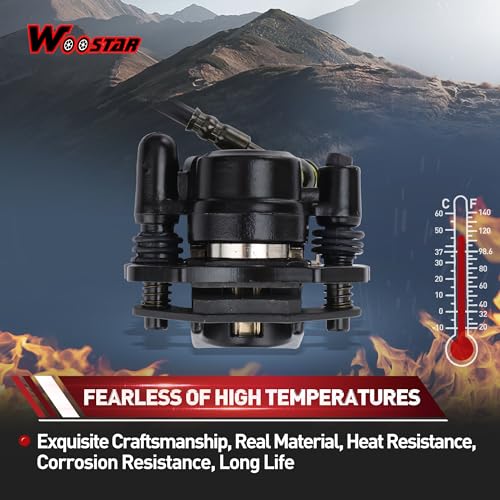 WOOSTAR Left Hydraulic Rear Disc Brake Master Cylinder Caliper Assembly Replacement for Taotao 50cc 70cc 90cc 110cc 125cc Chinese ATV Quad Go Kart Mini Bike