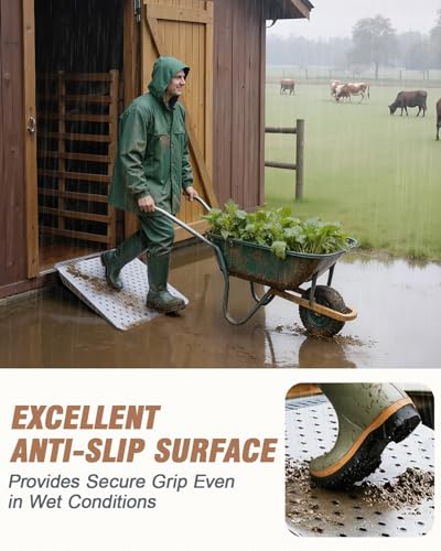 29 x 24 Inch Heavy-Duty Shed Loading Ramp Kit, 1 Pack - size: 29 x 24 Inch