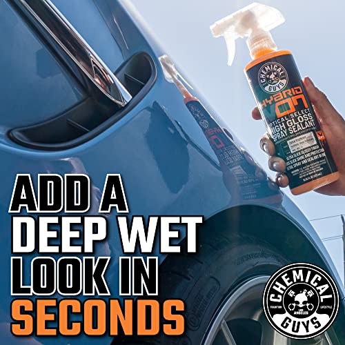 Chemical Guys, Hybrid V7 High Gloss Spray Sealant & Quick Detailer, 16 oz - size: 16 Ounce (Pack of 1)