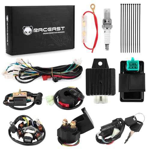 Complete Wiring Harness Kit for Tao tao 50cc 70cc 90cc 110cc 125cc ATV Quad Electric 4 Wheeler Stroke Parts Go Kart with 6-Pole Stator CDI Spark Plug Relay