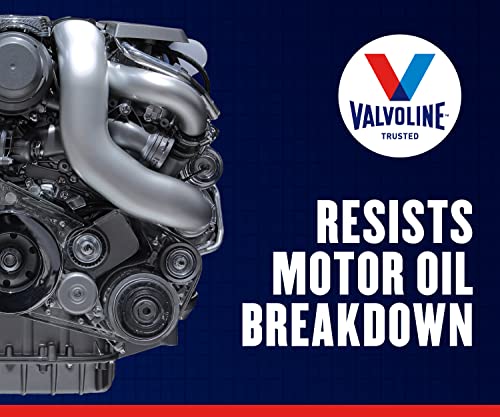 Valvoline Daily Protection 5W-30 Synthetic Blend Motor Oil 1 QT (Pack of 2) - size: 1 quart (Pack of 2), style: Synthetic Blend