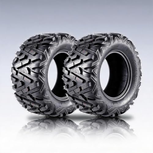 GarveeTech Set of 2-25x10x12 ATV UTV Tires - size: 25x10-12, style: Pattern 518