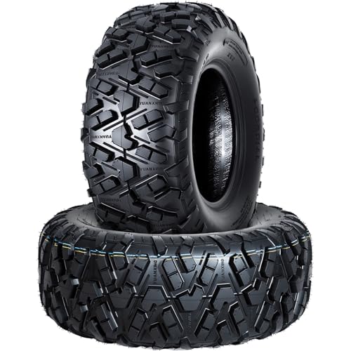 25x10x12 ATV UTV Tires, 25 10 12 All-Terrain Tires,A102, 25x10-12 UTV ATV Tire for Off-Road, Mud, Dirt, Sand, Street Trail, 6PR Tubeless,2 Pack - size: 25X10-12, style: Pattern D