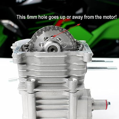 Glixal GY6 100cc 50mm Complete Big Bore Cylinder Rebuild Kit with Performance Big Valve Cylinder Head Assy for 139QMB 139QMA 147QMD Engine Scooter Moped ATV Go-Kart (69mm-18.5/20.5mm Larger Valves)