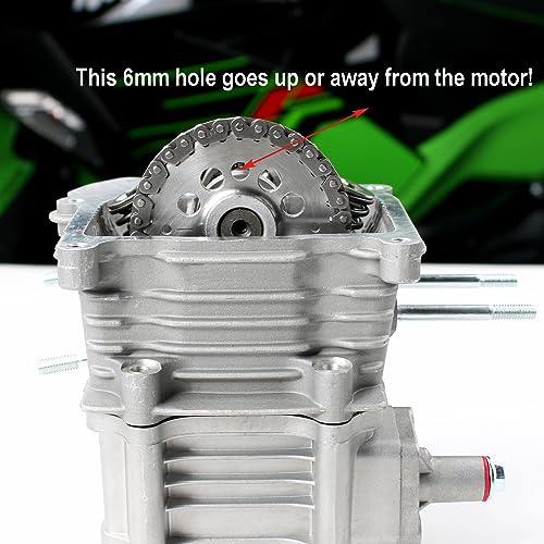 Glixal GY6 100cc 50mm Complete Big Bore Cylinder Rebuild Kit with Performance Big Valve Cylinder Head Assy for 139QMB 139QMA 147QMD Engine Scooter Moped ATV Go-Kart (69mm-18.5/20.5mm Larger Valves)