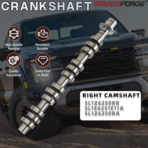 Triton Camshaft & Timing Chain Kit & Lifters for Engine Overhaul 5.4L