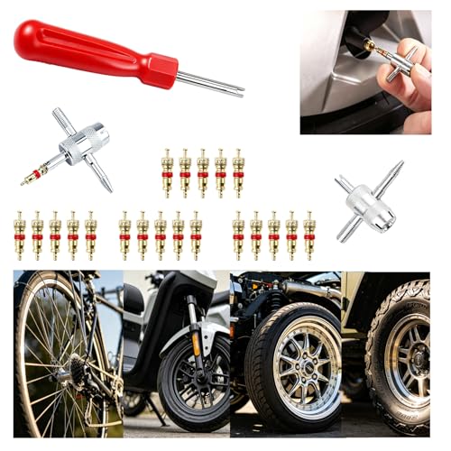 Valve Stem Removal Tool, 20 PCS Valve Cores, 20 PCS Tire Valves Caps, 1 PCS 4-Way Valves Tool, Valve Core Remover Tool with Storage Box Universal for Cars/Motocycle/Bike