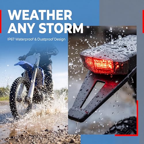 10 LEDs Integrated Motorcycle Tail Light - color: 10 Leds