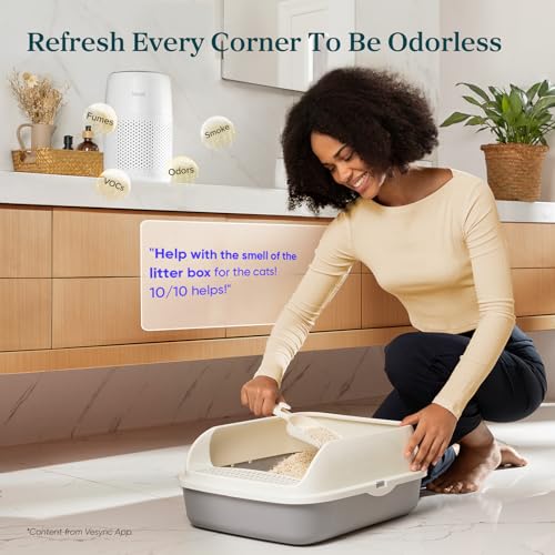 Levoit Air Purifiers for Bedroom Home Pets Dorm Room, Small Air Purifiers - size: Core Mini-P 1 Pack