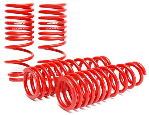 Skunk2 Racing 519-05-1550 Lowering Spring for 1996-2000 Honda Civic