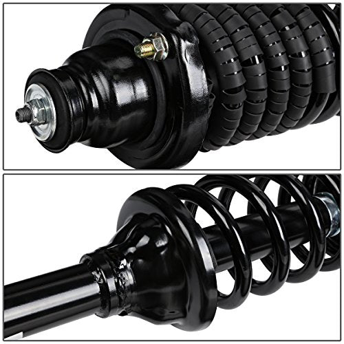 Auto Dynasty Rear Struts Shocks Assembly and Coil Spring Compatible with 1994-1997 Honda Accord 5th Gen, Left and Right Complete Pair Shock Absorber SR4050 SR4049