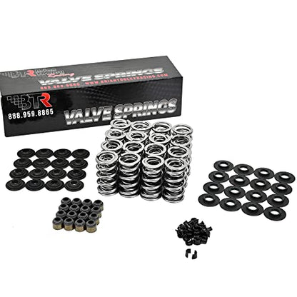 BTR Brian Tooley Racing Hot Rod Camshaft, 660" Lift LS Dual Valve Springs with Steel Retainers, 7.400" LS Chromoly Pushrods & LS Gasket Kit -Fits 4.8 5.3 6.0 LM7 LC9 LMG LMF LR4