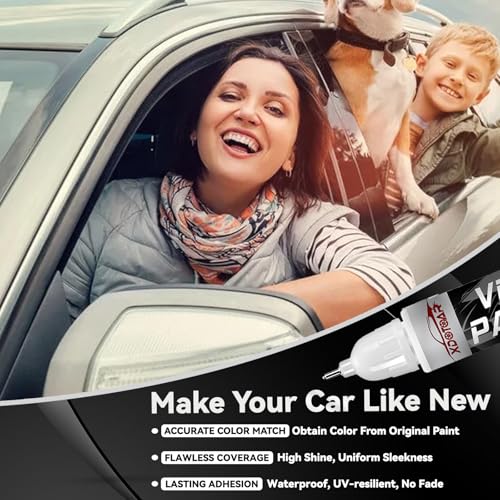 Silver Touch Up Paint for Cars, Professional Automotive Paint Scratch Repair, Lasting Auto Scratch Remover, Color Accurate, Quick Drying, Easy to Use, Safe and Waterproof, Versatile Use - color: Silver