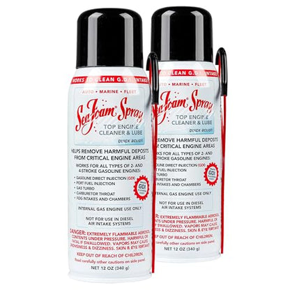 Sea Foam Spray Intake System and Valve Cleaner, 14 oz, Pack of 2 - size: Pack of 2