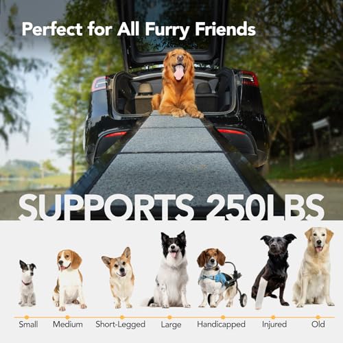 PetThem Dog Ramp for Cars, 71" L × 17.2" W, Extra-Long Foldable - size: 71" L x 17.2" W with Dog Pattern Upgraded