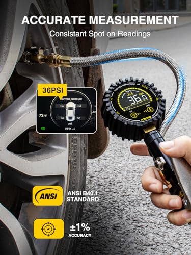 AZUNO Digital Tire Inflator Gauge 255 PSI, Heavy Duty Tire Pressure Gauge with Air Chuck, Steel Braided Hose, Quick Connect Coupler & Case for Truck RV Trailer - size: 255 PSI For Truck&RV