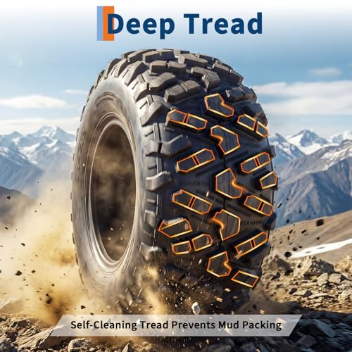 25x10x12 ATV UTV Tires, 25 10 12 All-Terrain Tires,A102, 25x10-12 UTV ATV Tire for Off-Road, Mud, Dirt, Sand, Street Trail, 6PR Tubeless,2 Pack - size: 25X10-12, style: Pattern D