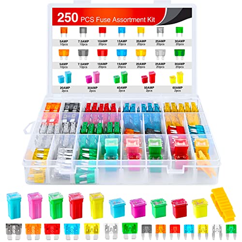 Nilight 250PCS Regular Mini Blade and Jcase STD Profile Fuse Assortment Kit - color: 250PCS Fuses + box fuses