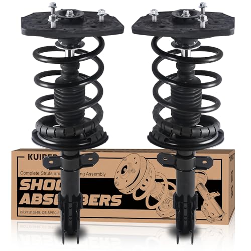 KUIPERAUTO Pair Rear Strut Assembly Compatible with 2005-2008 Buick Allure Lacrosse 2006-2016 Chevy Impala 272471L 272471R Coil Spring Shock Absorber - style: 2x Rear Struts