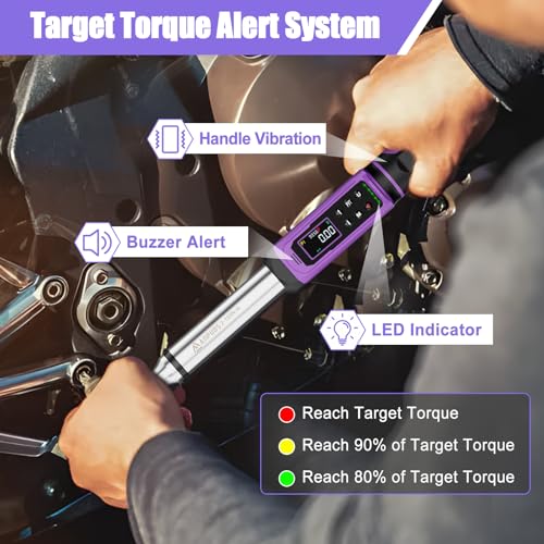 ANPUDS Digital Torque Wrench 3/8 Drive, 1.5-99.6 Ft-lb, ±1% Accuracy