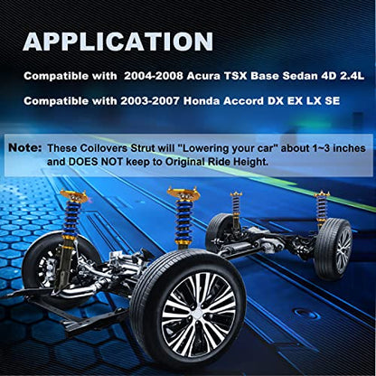MOSTPLUS Full Coilovers Struts Compatible with 2004-2008 Acura TSX/2003-2007 Honda Accord LX EX DX SE Adjustable Height Shock Absorber Assembly (Set of 4) - size: 2003-2007 Honda Accord