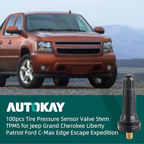 AUTOKAY 100pcs TPMS 17-20008 Rubber Snap-in Tire Pressure Sensor Tire Valve Stem TPMS Compatible with Jeep Ford Chevy Chrysle Ram GMC Cadillac Buick Lincoln Pontiac Ram Hyundai for Subaru for Dodge