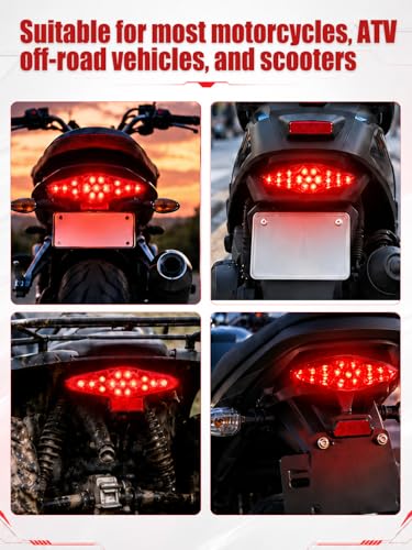 Watris Veiyi 12V Motorcycle Rear Brake Tail Light for ATV Dirt Bike