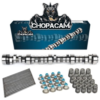 Stage 2 Cam Kit with .560 Lift Beehive Springs Seals Pushrods for LS Truck