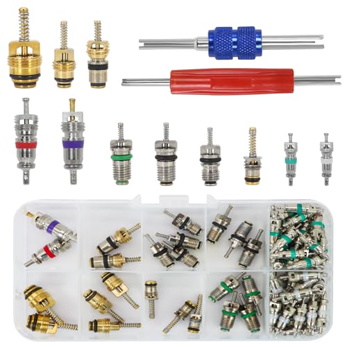 102Pcs Auto Air Conditioning Valve Core Accessories Kit