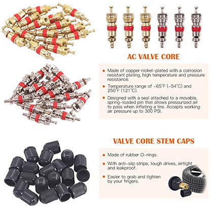 70Pcs Tire Repair Kit - Patch, Scraper, Valve Stem Removal Tools, Cores, Caps & Patches for Punctures
