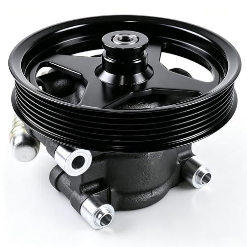 Power Steering Pump with Pulley Compatible with 2004-2008 Ford F-150 4.6L 5.4L, Expedition, Lincoln Mark LT Navigator, Replaces 6L3Z3A674B 7L3Z3A674C - size: 2004-2008 Ford F-150 4.6L 5.4L L