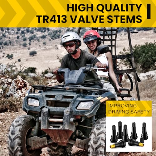 Tallew 400 Pieces TR413 Tire Valve Stems, Rubber Snap-in Tubeless, Black