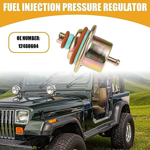 Fuel Injection Pressure Regulator 12460604 - Car Fuel Pressure Regulator Gas - for Jeep Wrangler 1991-1995 Metal Bronze Tone with Ring - 1 Pc