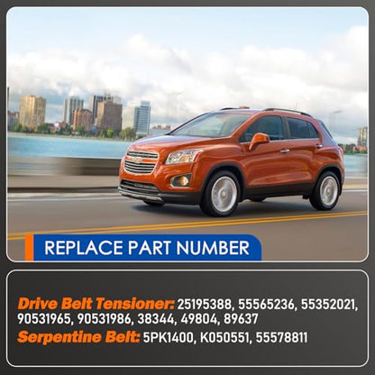 Drive Belt Tensioner Pulley Assembly with Serpentine Belt