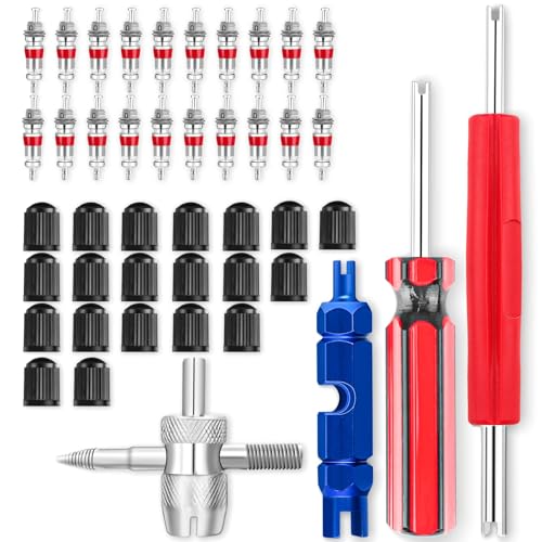 Tire Valve Stem and Valve Core Removal Tool Set, 44 pcs
