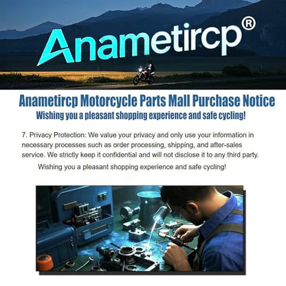 Carburetor Rebuild Kit for Suzuki DR650 Motorcycles Mikuni BST40 Carburetor[Anametircp]