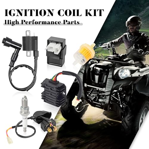 Ignition Kit for CG 125cc 150cc 200cc 250cc ATV Quad Go Kart Moped Scooter