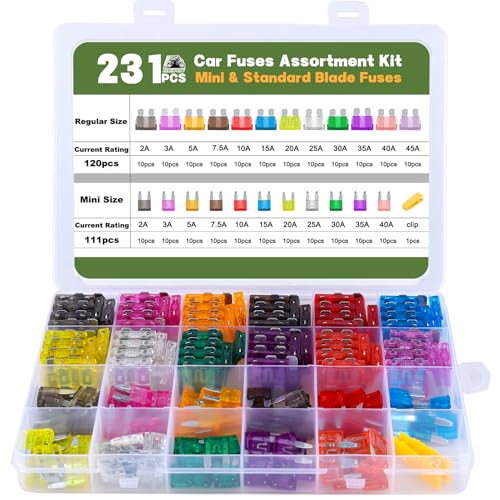 231 Pcs Standard Blade Fuses Kit Car Fuse Assortment Kit RV Fuses - size: 231PCS