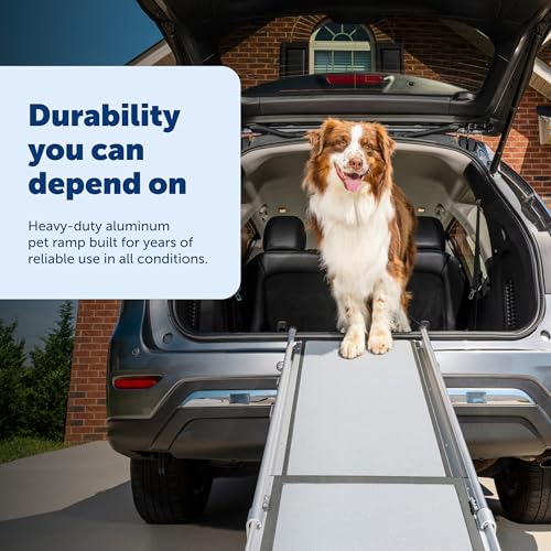 PetSafe Happy Ride Extra Long Telescoping Dog Ramp, Portable Pet Ramp for Cars, Trucks & SUVs with Adjustable Sizing - size: X-Large